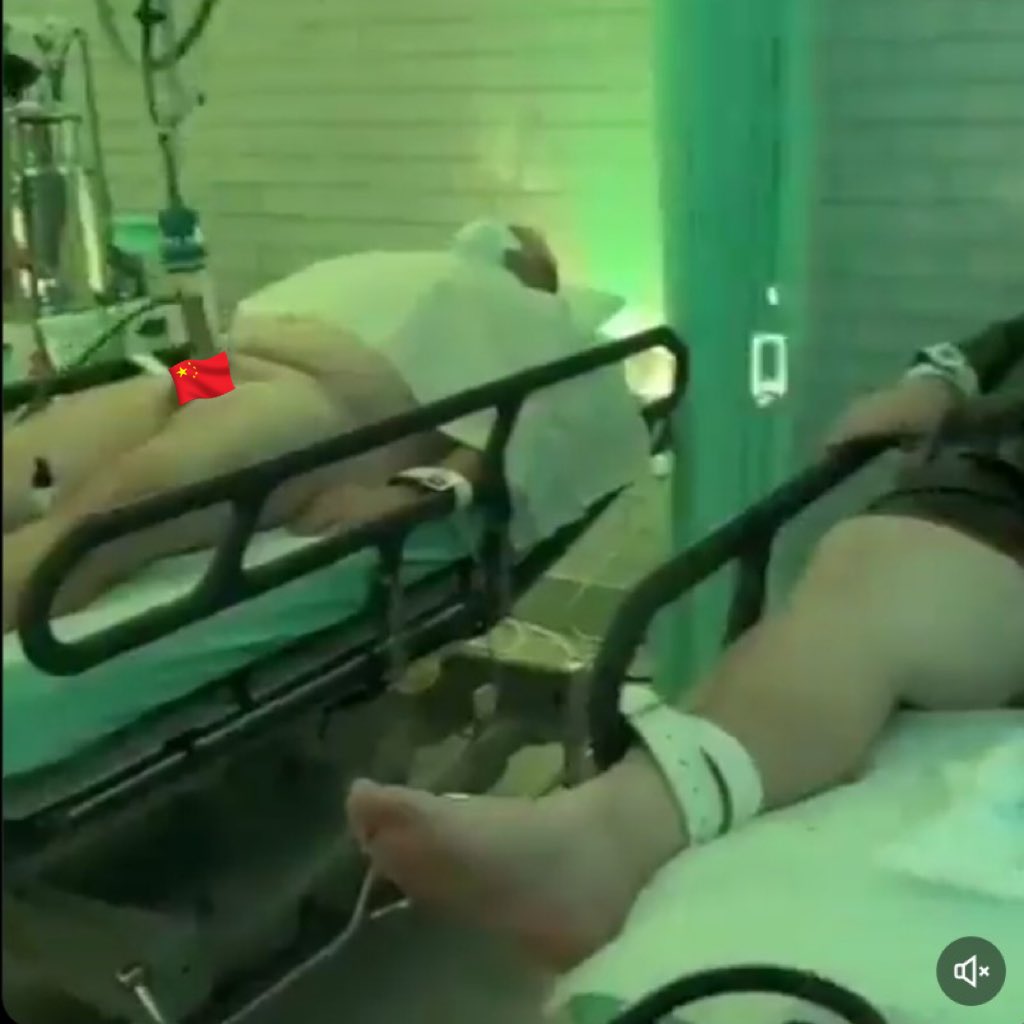 𝚙𝚘𝚕𝚢𝚝𝚑𝚎𝚗𝚎 𝚜𝚙𝚊𝚖 tweet media