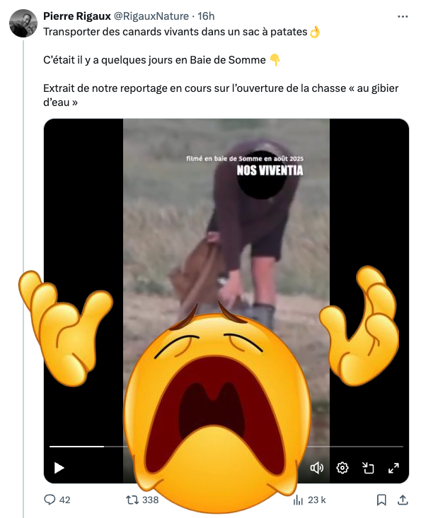 FrancAller_info's tweet photo. Ils ne sont pas en sucre, mon chou.

#Rigaux #gesticulations 
#IlsSachentNousChassons 
#Chasse #ChassePartage 

* L'agité de la cagnotte #Tipee #antichasse (passée à plus de 5 000 €/mois avec ses petites conn...)  :
https://t.co/oIDeCLJEWp https://t.co/ZrBzWGllBi