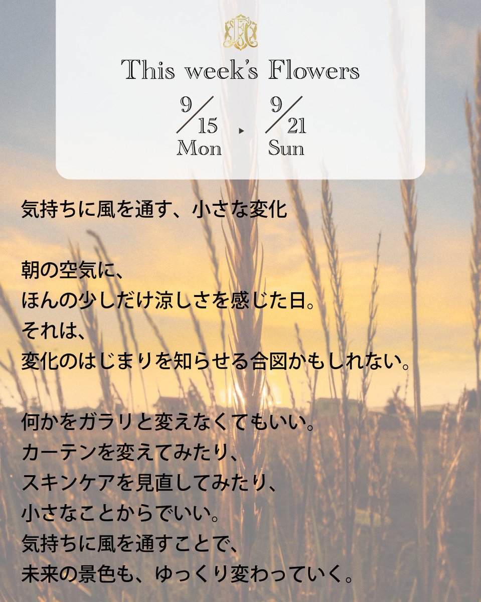 FlowermessageO's tweet photo. 🍃Lovely Morning!
9/15(月)〜9/21(日)の #WeeklyMessage
朝の空気に、ほんの少しだけ涼しさを感じたら──
それは変化のはじまりを知らせる合図かもしれません。
何かをガラリと変えなくても大丈夫。
カーテンを変えてみたり、
スキンケアを見直してみたり、
小さなことからでいいんです。
気持ちに風を通すことで、
未来の景色も、ゆっくりと変わっていきます。
カードは1〜3の中から、直感で1枚お選びください🌸
#オラクルカード #FlowerMessage