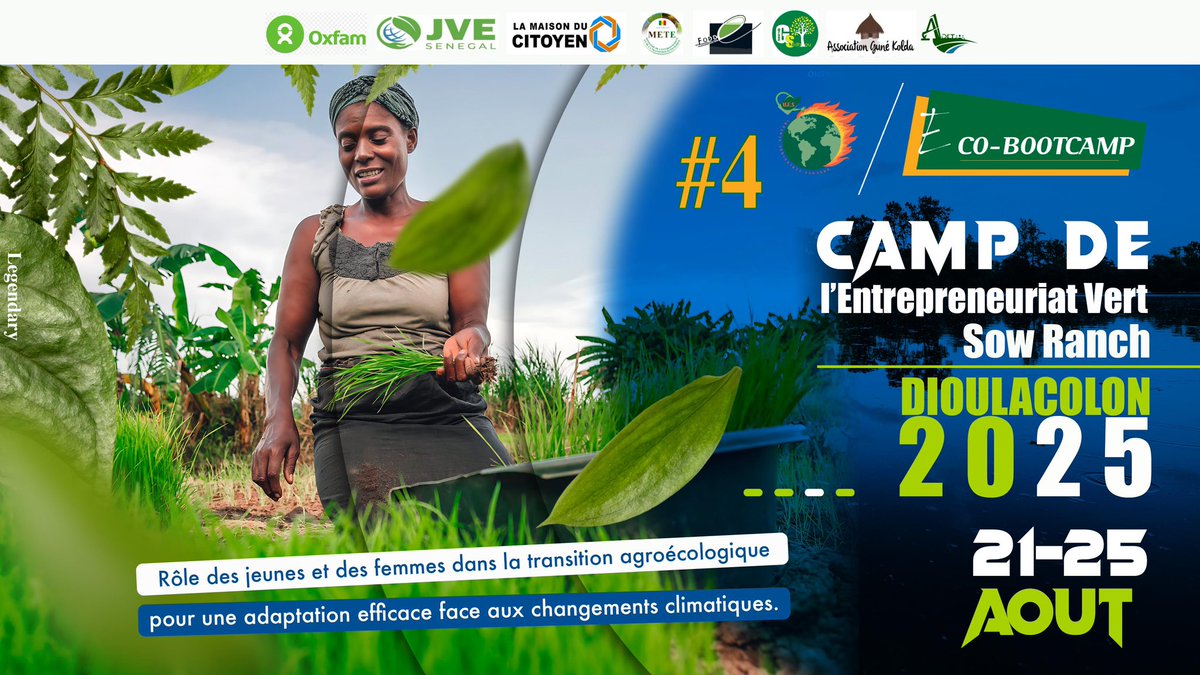 Feux de camp
Ateliers
Mini-Market
Immersion 
Plaidoyer et Réseautage 
Les entrepreneurs verts se retrouve à Kolda du 21-25 août #Ecobootcamp4
#Agroecologie #Adaptation