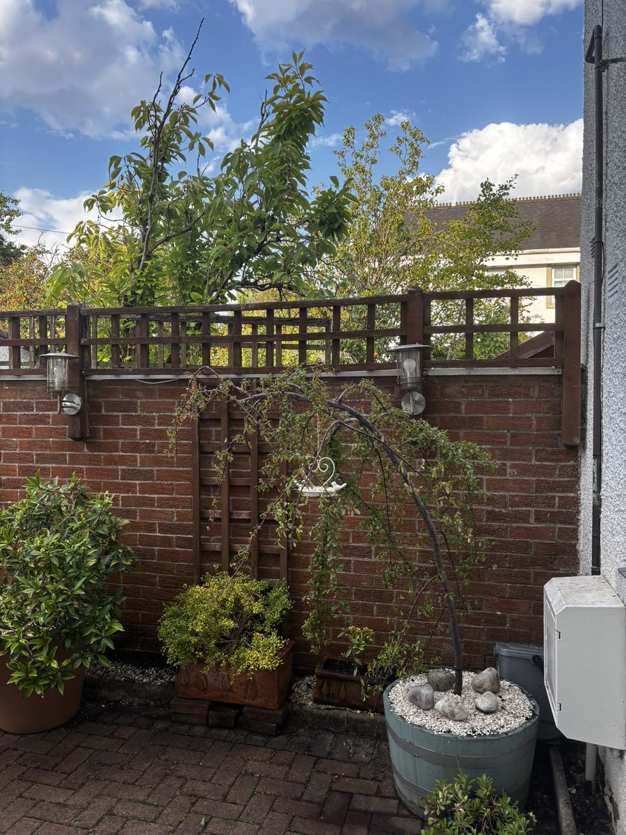 EyeintheskyGla's tweet photo. Our very own private Oasis ๐โ๏ธ๐ฅ๐ซถ #newhome #shapingup #oldschool #Drewsteignton #hsog #southfacing #sunnyray #bearsden #school #hsog #westend #pickfords #Love #lovelife #change #lovinit #home #family #bearsdenathleticclub ๐ฅ๐๐ชท๐ฑ๐ชด https://t.co/vSqp6VesO5