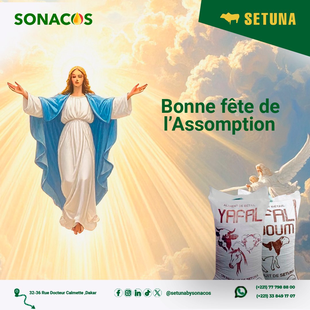 setunabysonacos's tweet photo. 🙏 Bonne fête de l’#Assomption 🌸
Paix, joie et bénédictions pour tous ✨
#Setuna #SonacosSa https://t.co/LNDPzEur7C