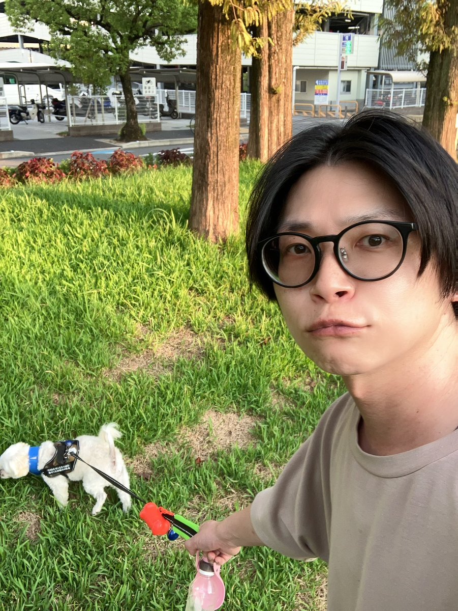 てんくんめっちゃ引っ張るw