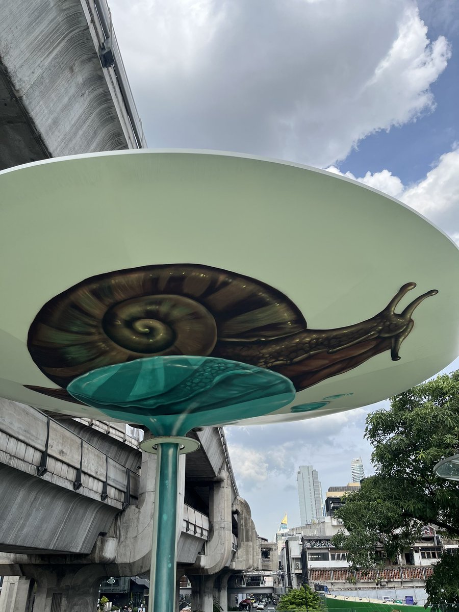 snail_abe's tweet photo. 毎回撮るやつ🐌 https://t.co/2mOO9X6isP
