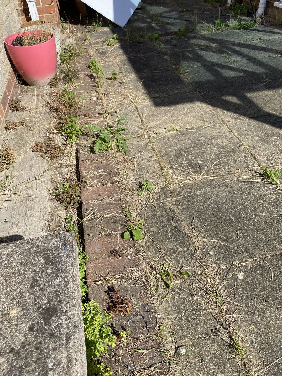 Came someone add a pic of the best tool to get rid of weeds from the patio just moved in and need to crack on thanks