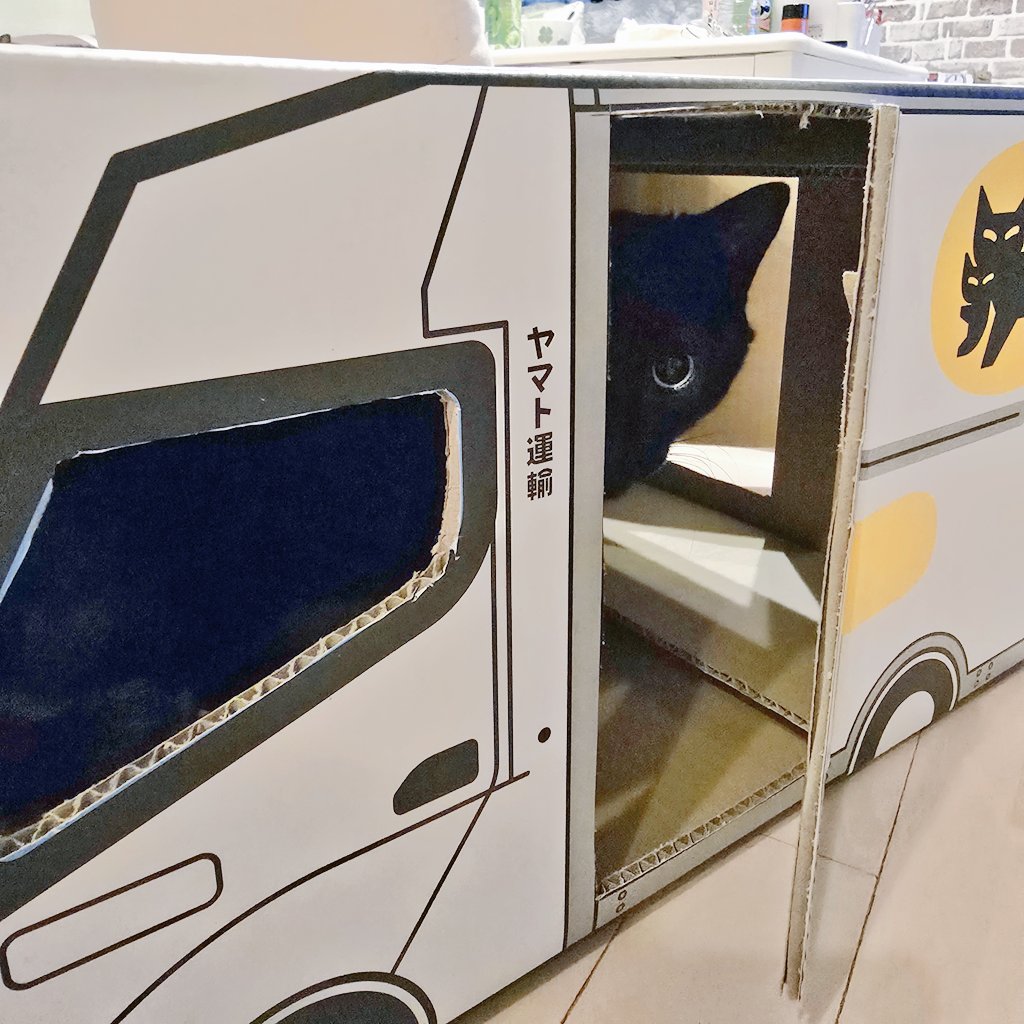 なんと‼️なんと‼️ クロネコヤマト運輸さんへ荷物を出しに行き