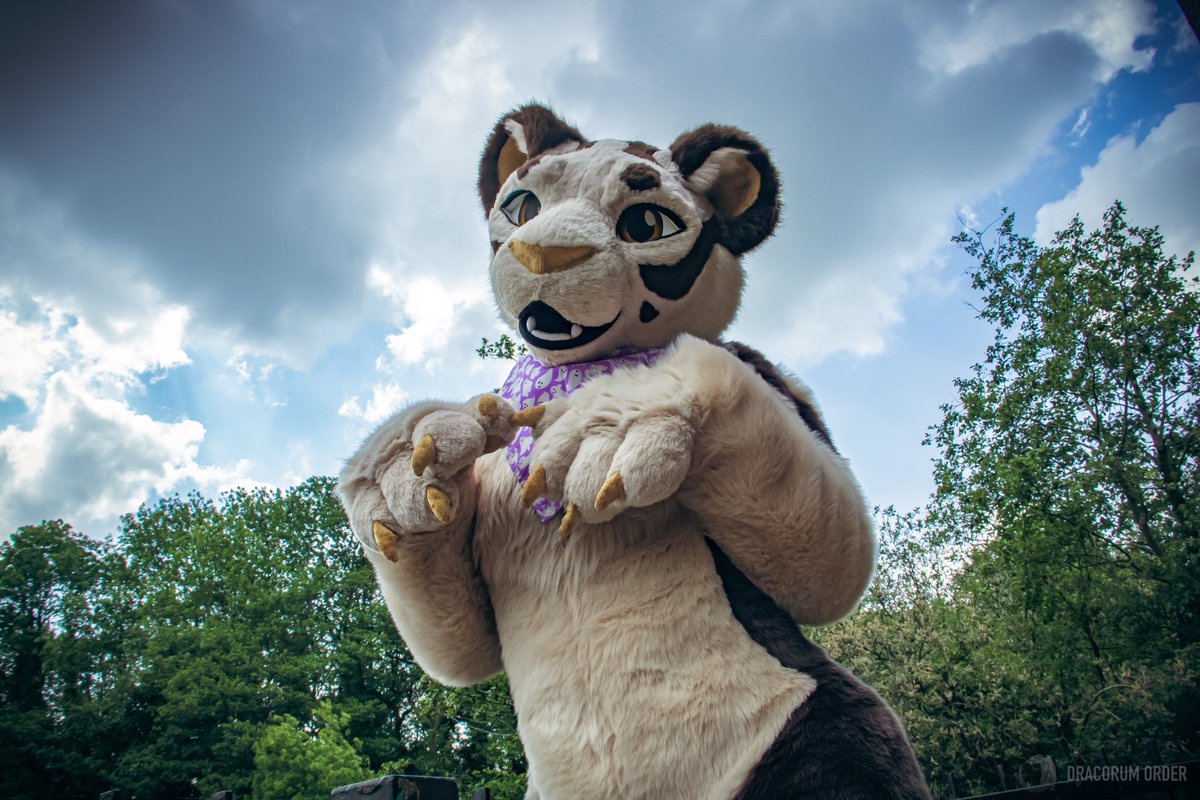 Una | Comms closed (@unapanthera) on Twitter photo *poses cutely*
📸 <a href="/DracorumOrder/">Dracorum Order 🧧</a> *poses cutely*
📸 <a href="/DracorumOrder/">Dracorum Order 🧧</a>