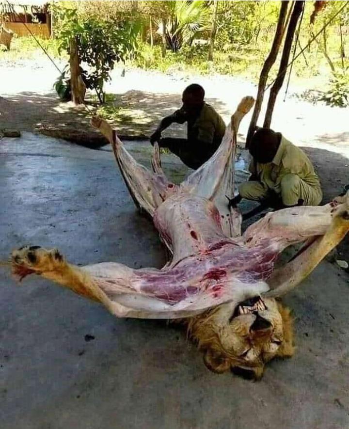 Top Layer FC tweet media