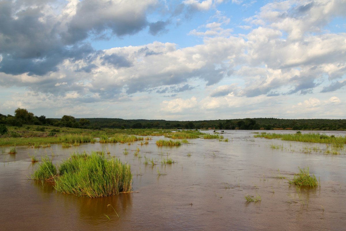 IWAPublishing's tweet photo. New research from Water Policy highlights the substantial influence of drought on the increase in water conflicts in Africa.

It emphasizes the need for targeted policies to address areas at risk from both drought and poor governance ➡️ https://t.co/i5FtvqoPI7

#Water #Research #WaterPolicy #WaterConflicts #TransboundaryConflict #WaterPolitics #Drought
