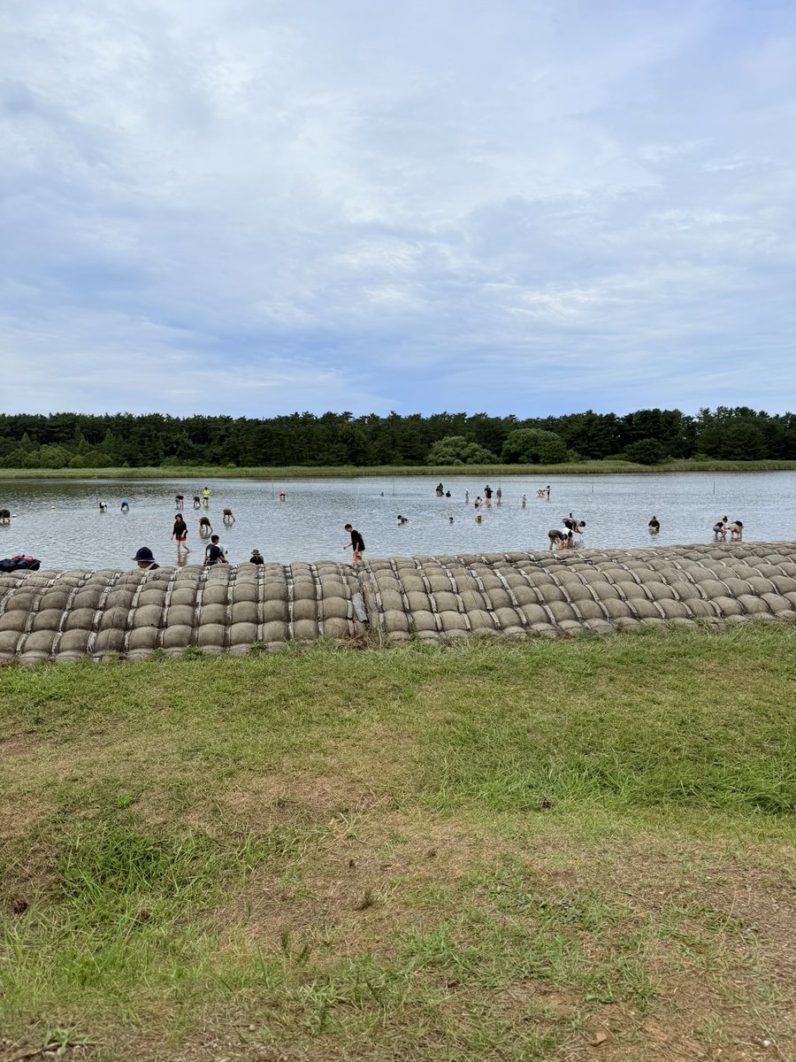 しじみ貝取りに十三湖
こんなに浅かったかな？
足首ぐらいしかない😀
全部で3kgぐらい取れた