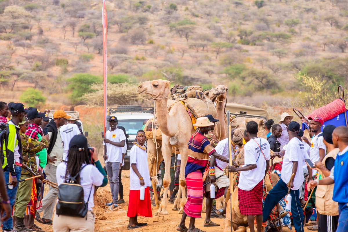 RPPL006's tweet photo. The Annual Ewaso Camel Caravan 2025 officially kicked off on 4/8/25 at Nkutuk eNg’irion, Samburu county under the theme Advancing Pastoralism, Peace and Rangelands Management for Sustainable Future. The event brought together more than 200 participants from the Ewaso basin. https://t.co/MKEcE0vYYG