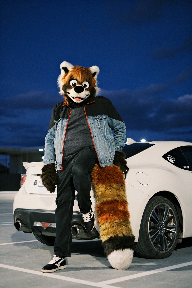 Firn 🦌 tweet media