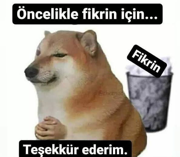 icey spicey tweet media