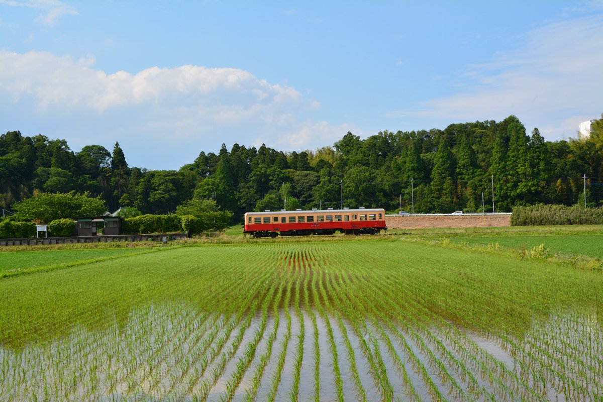 フリー素材ドットコム tweet media