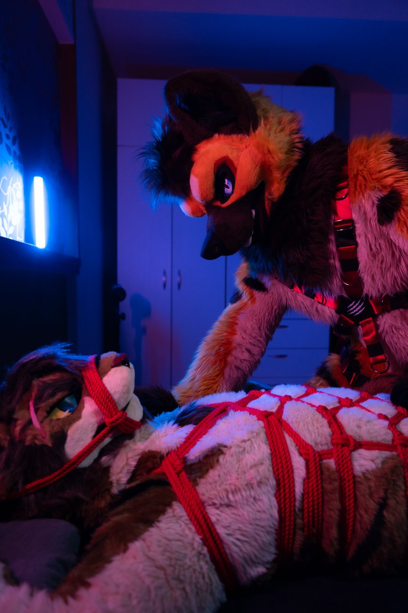 Hunting.
#FursuitFriday 
#fursuitfriday
🐯<a href="/vincentorczk/">Vincent</a>