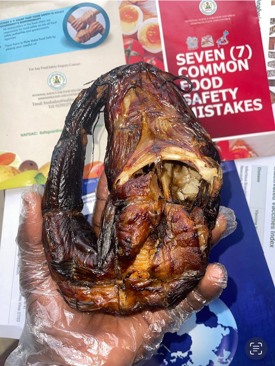 The Lasgidi Farmer (@dlasgidifarmer) on Twitter photo Dear Smoked fish buyers/consumers,
The fish on the left (Eja dudu) is not the same as the fish on the right.
Both are catfish, yes, but have been processed in diff ways & with diff impact on final quality & health.
Read to the end.
🧵
<a href="/sarnchos/">~greedy farmer™~ Àwé Alágbo™ CAC-OFR</a> <a href="/Nig_Farmer/">NaijaFarmer</a> <a href="/peng_writer/">Ibrahim Kazeem Content writer and SMM</a> Dear Smoked fish buyers/consumers,
The fish on the left (Eja dudu) is not the same as the fish on the right.
Both are catfish, yes, but have been processed in diff ways & with diff impact on final quality & health.
Read to the end.
🧵
<a href="/sarnchos/">~greedy farmer™~ Àwé Alágbo™ CAC-OFR</a> <a href="/Nig_Farmer/">NaijaFarmer</a> <a href="/peng_writer/">Ibrahim Kazeem Content writer and SMM</a>