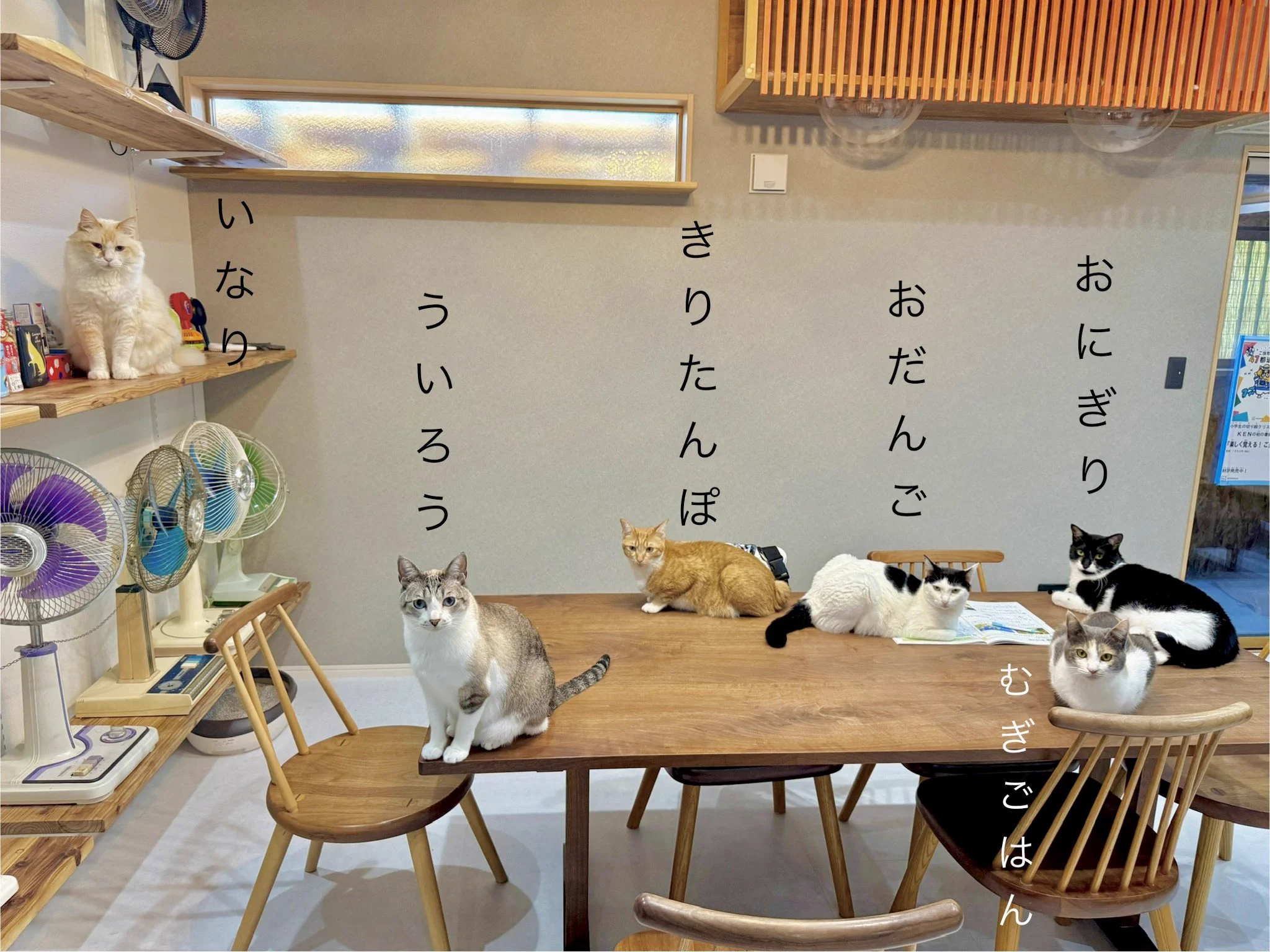 なみそ📕KEN/メジェド4コマ書籍化！ on X: 
