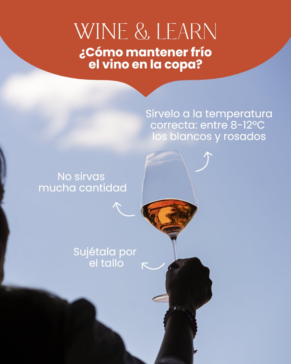 Bodegas Muriel tweet media