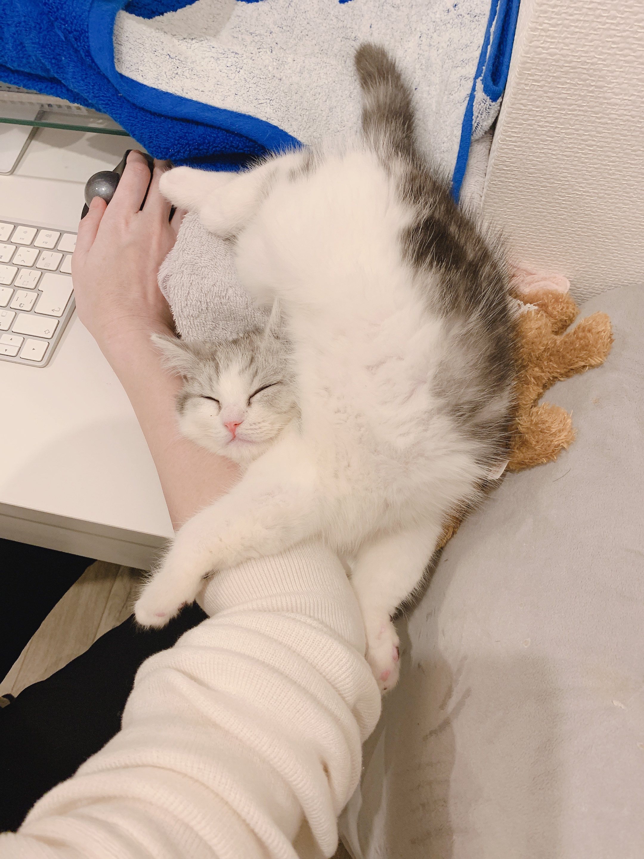 おもち (@omochiomoching) / X