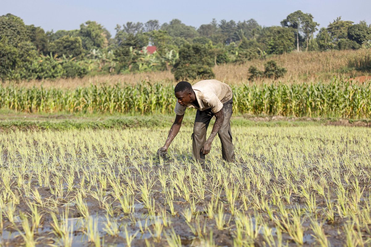 Wetlands are indispensable for the countless benefits that they provide humanity, ranging from freshwater supply, food &amp; building materials, &amp; biodiversity, to flood control, groundwater recharge and climate change mitigation.
#CoolieFDFS
#WetlandsMatter
#GlobalWetland
