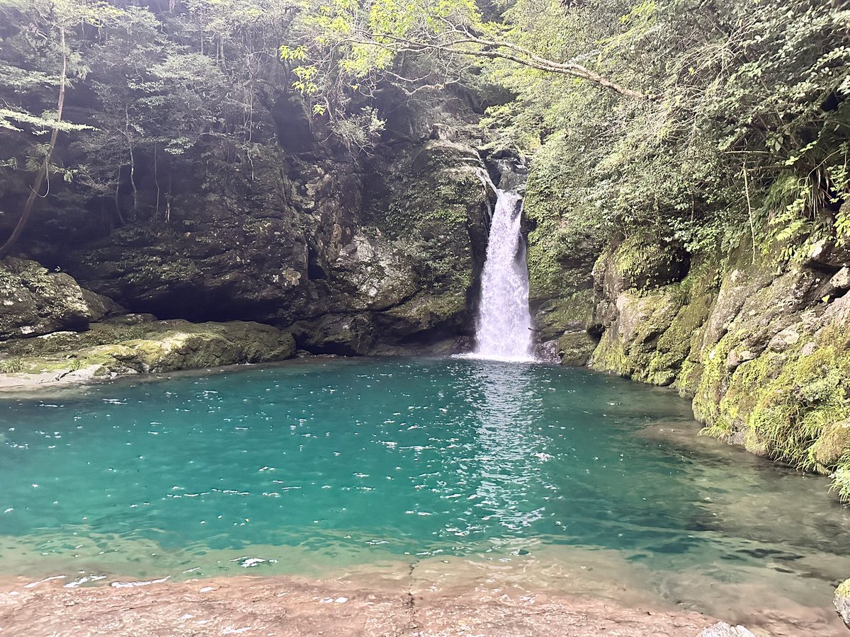 にこ渕