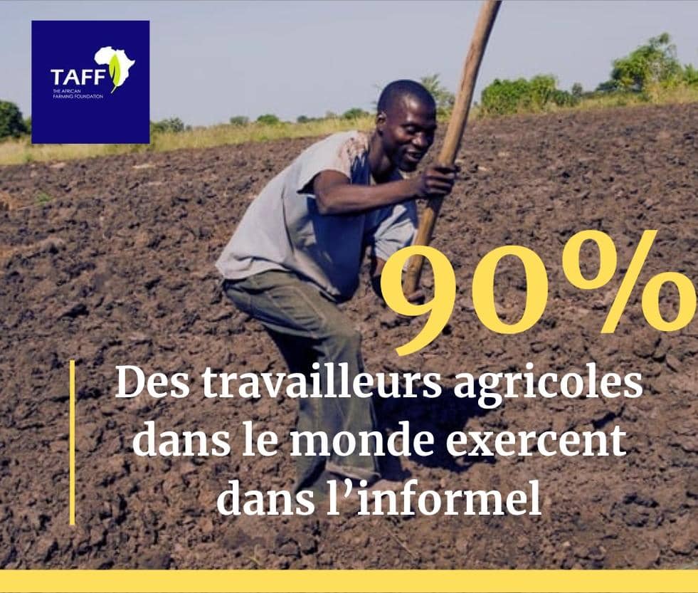 The African Farming Foundation ( TAFF ) (@fossitimon62229) on Twitter photo 💭 Pensée du Jour
<a href="/WBG_Climate/">World Bank Climate</a> <a href="/FAOenFrancais/">FAO en français</a> <a href="/FAO/">Food and Agriculture Organization</a> <a href="/ilo/">International Labour Organization</a> <a href="/worldfarmersorg/">WFO</a> <a href="/IFAD/">International Fund for Agricultural Development</a> <a href="/WFP/">World Food Programme</a> <a href="/RamsarConv/">Convention on Wetlands</a> <a href="/WorldFoodPrize/">World Food Prize Foundation</a> <a href="/IFPRI/">IFPRI</a> <a href="/CGIAR/">CGIAR</a> <a href="/WWF/">WWF</a> <a href="/FAOLandWater/">FAO Land, Soil and Water</a> <a href="/FAOSocioEcon/">FAO Social & Economic Development</a> <a href="/ONU_fr/">Nations Unies (ONU)</a> <a href="/pnudfr/">ONU Développement</a> <a href="/ONUmigration/">OIM - ONU Migration</a> <a href="/giz_drcongo/">GIZ DR Congo</a> <a href="/IISD_ELP/">IISD Economies</a> <a href="/IIEP_UNESCO/">IIEP-UNESCO</a> <a href="/UNESCO/">UNESCO 🏛️ #Education #Sciences #Culture 🇺🇳</a> <a href="/AFD_France/">Agence Française de #Développement (AFD) 🇫🇷 🇪🇺</a> <a href="/AfDB_Group/">African Development Bank Group</a> <a href="/WBG_Environment/">World Bank Environment</a> #gaza 💭 Pensée du Jour
<a href="/WBG_Climate/">World Bank Climate</a> <a href="/FAOenFrancais/">FAO en français</a> <a href="/FAO/">Food and Agriculture Organization</a> <a href="/ilo/">International Labour Organization</a> <a href="/worldfarmersorg/">WFO</a> <a href="/IFAD/">International Fund for Agricultural Development</a> <a href="/WFP/">World Food Programme</a> <a href="/RamsarConv/">Convention on Wetlands</a> <a href="/WorldFoodPrize/">World Food Prize Foundation</a> <a href="/IFPRI/">IFPRI</a> <a href="/CGIAR/">CGIAR</a> <a href="/WWF/">WWF</a> <a href="/FAOLandWater/">FAO Land, Soil and Water</a> <a href="/FAOSocioEcon/">FAO Social & Economic Development</a> <a href="/ONU_fr/">Nations Unies (ONU)</a> <a href="/pnudfr/">ONU Développement</a> <a href="/ONUmigration/">OIM - ONU Migration</a> <a href="/giz_drcongo/">GIZ DR Congo</a> <a href="/IISD_ELP/">IISD Economies</a> <a href="/IIEP_UNESCO/">IIEP-UNESCO</a> <a href="/UNESCO/">UNESCO 🏛️ #Education #Sciences #Culture 🇺🇳</a> <a href="/AFD_France/">Agence Française de #Développement (AFD) 🇫🇷 🇪🇺</a> <a href="/AfDB_Group/">African Development Bank Group</a> <a href="/WBG_Environment/">World Bank Environment</a> #gaza