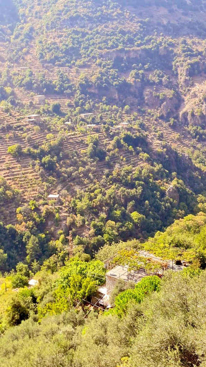 جمال الخضرة ببلدي شي بيجنن
#صباح_الخير_والسعاده