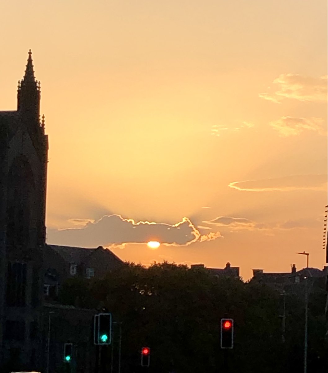 Daniel✌ɘrhɐmmɞ🌻 tweet media