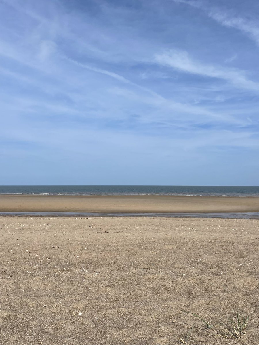 Rosemary Thompson tweet media