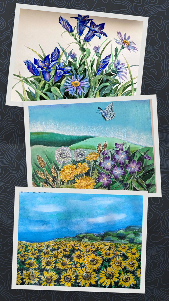 ArtistMarykay11's tweet photo. 夏に春に秋に　
家にいても花と旅するそんな日々‥
健康だった頃は絵の具箱を持って
いろいろなところへ出向いて描いてましたが、今はうちの近くばかりです。
でもよく見ると絵の画題になるものは、そこら中にあるんですね https://t.co/o4gAKpN4gs