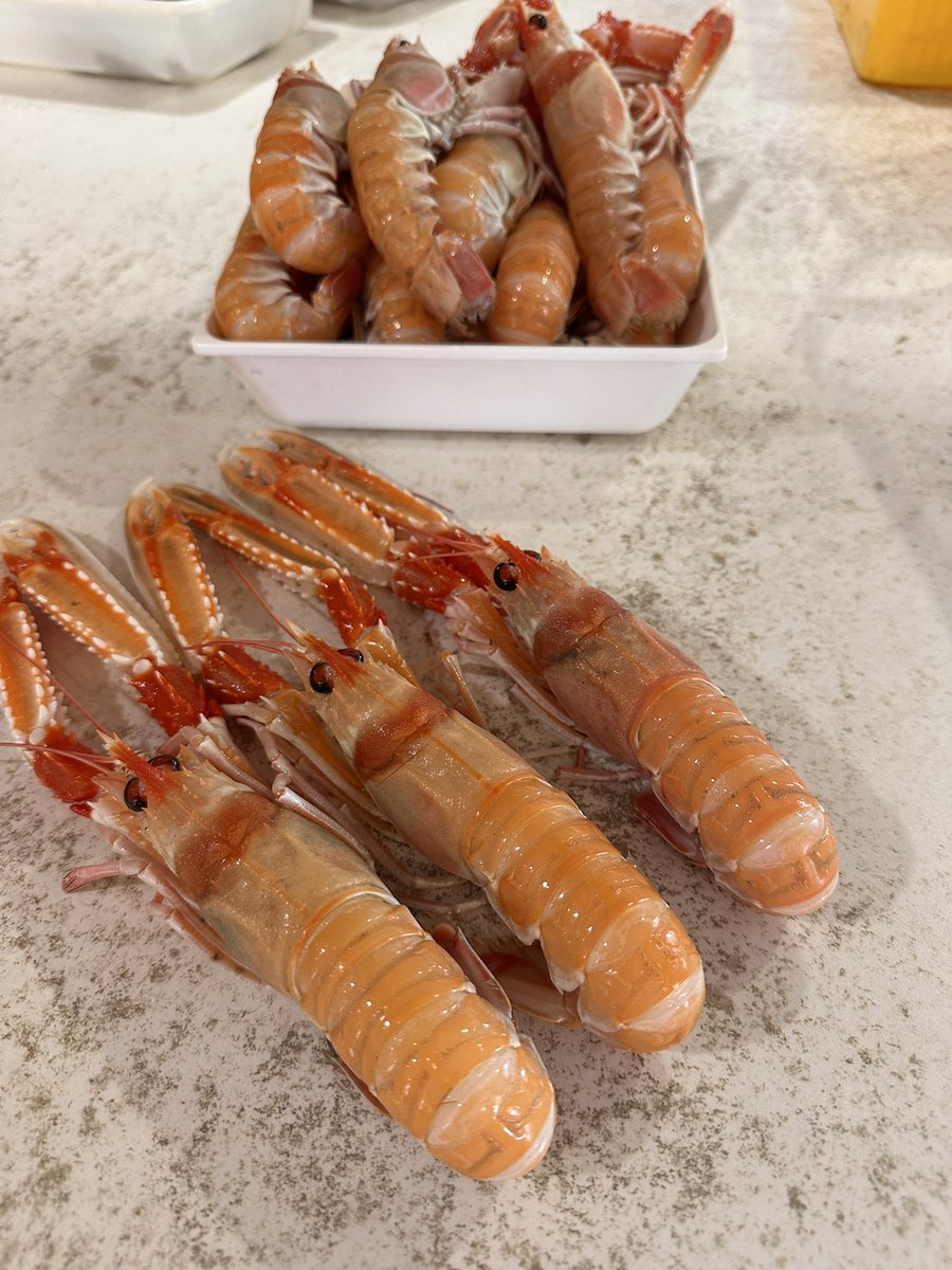 De vez en cuando podemos disfrutar de auténtica Cigala Gallega. Menos común de lo que puede parecer, lamentablemente
#Balarés