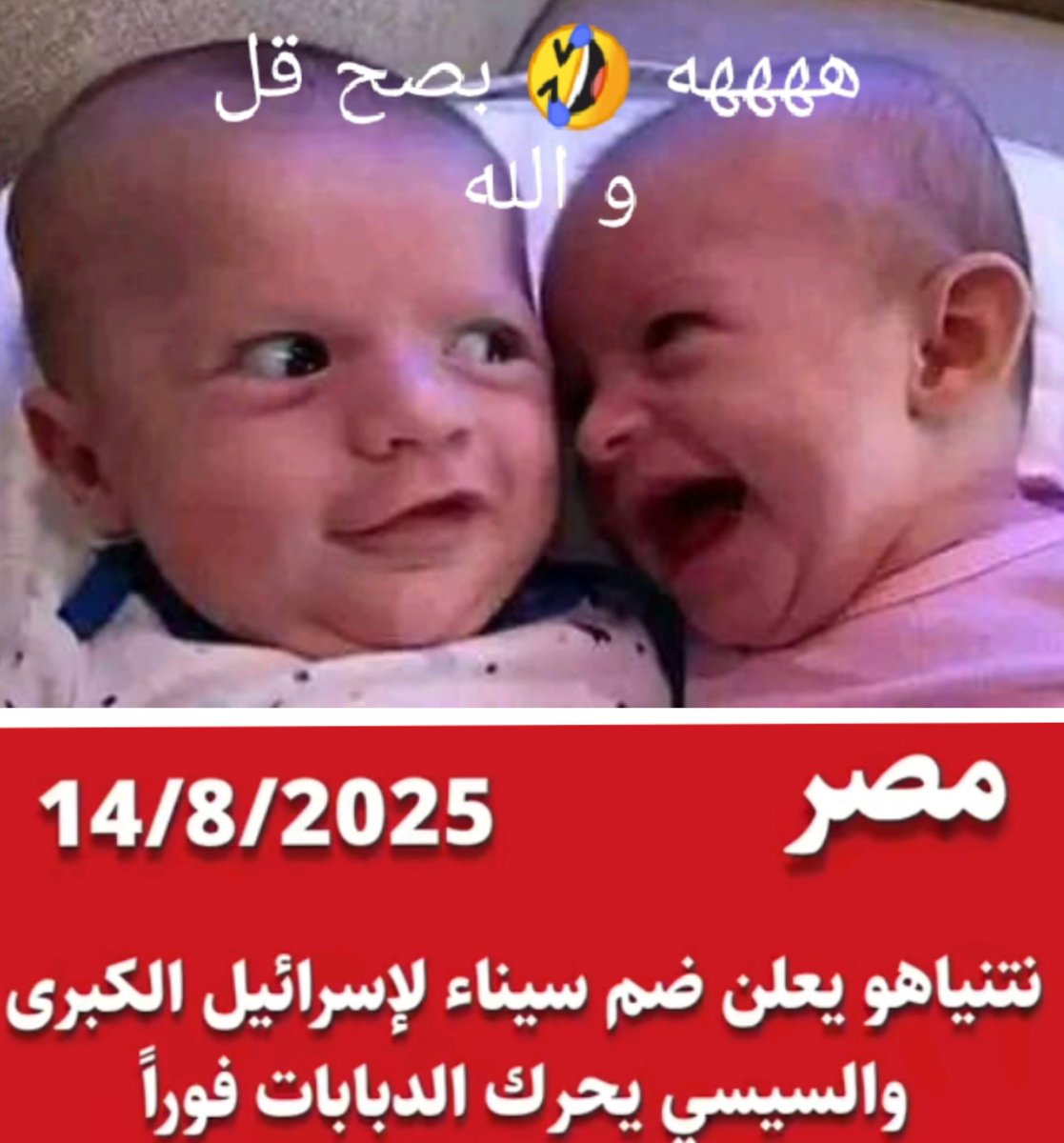 المرجان tweet media