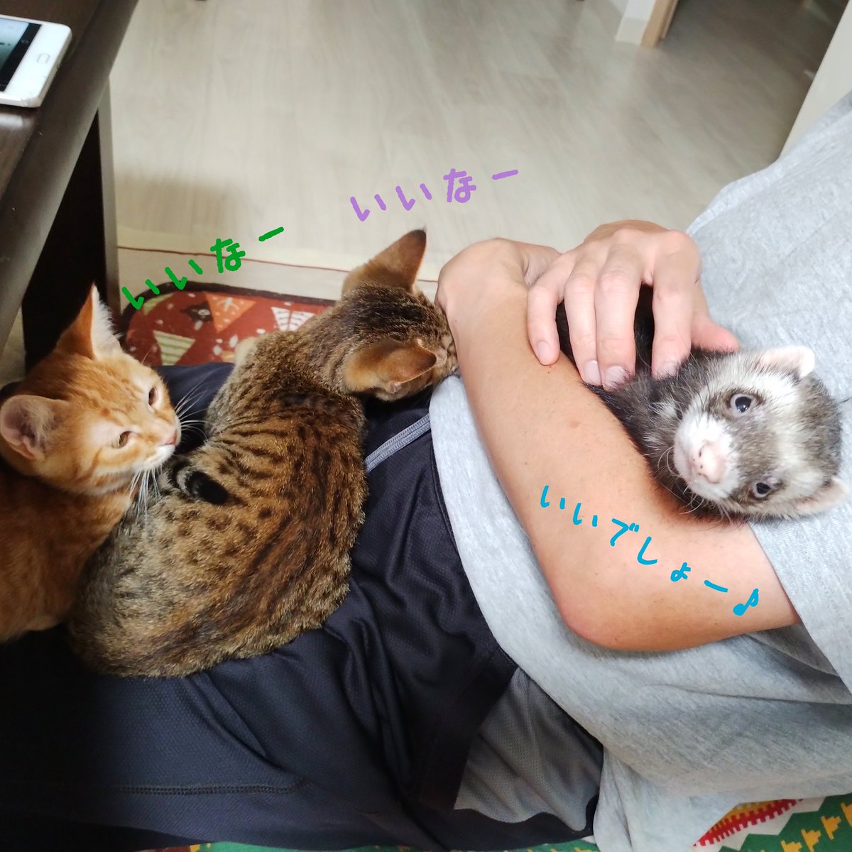 tomomi.mページ ギブミ〜！トモタカ (@jinx88kc) • Instagram photos and videos