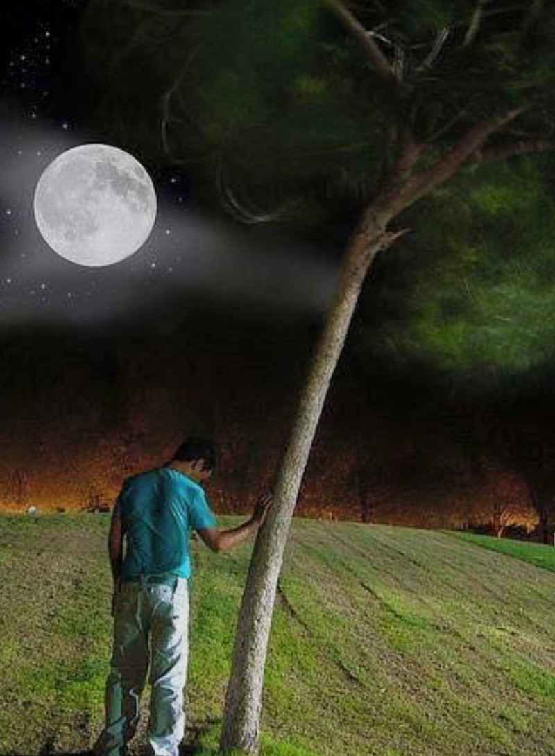 #अस्सलामु_अलैकुम_नमसकार_सत_श्री_ #अकाल_गुड_इवनिंग💗🙏🏻"मेरे मरने के बाद किसी को ज़्यादा फ़र्क़ नहीं पड़ेगा, बस तन्हाई रोएगी कि मेरा हमसफ़र चला गया....✍🏻🛖🌱🌾🌿🌴🌳🕊️🪹🪺🪾🪵🍂🍂🍂🍁🍁🍁🤍🩶🖤👉🏻💌👍🏻 #सय्यदा_नौशाबा