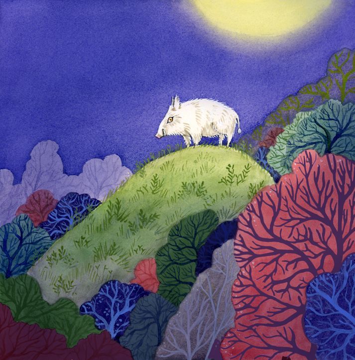 Nuestra PRO Raquel Lagartos ilustra "Os albióis pequenos y el arracada máxica" raquel-lagartos.com/albiois