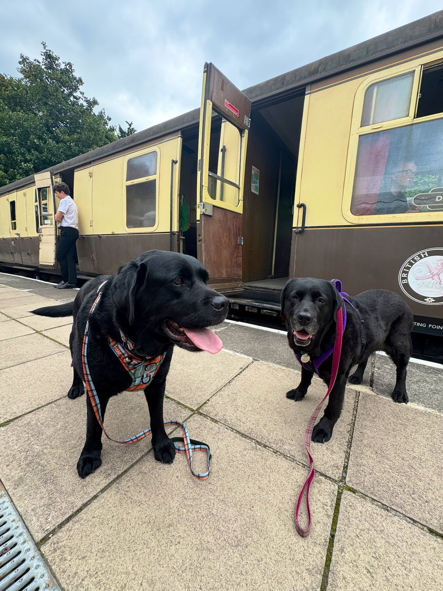 Jim are we left on the platform because you found it too scary to get on board?  A gravy bone lure didn’t even help🙈