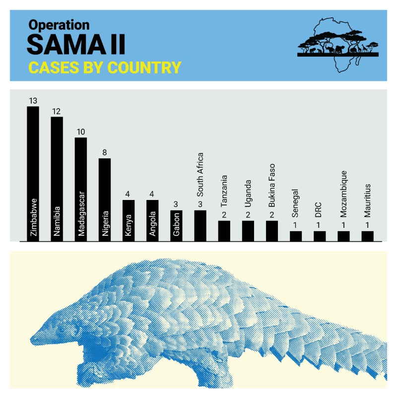 UNODC's tweet photo. 92 wildlife seizures in 15 African countries exposed sophisticated networks trafficking endangered species and protected timber.

Read how UNODC and @WCO_OMD work to dismantle these groups through intelligence-led enforcement ⬇️

#EndWildlifeCrime