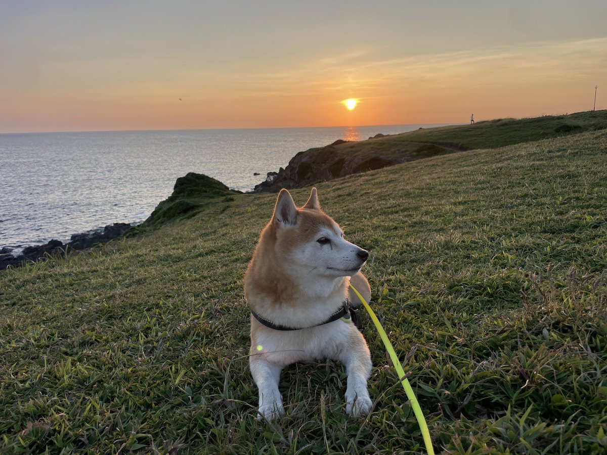 osechi_No1's tweet photo. 角島  瓦そば最高！！！
#角島
#瓦そば
#お盆休み https://t.co/ihrvWgpkFg