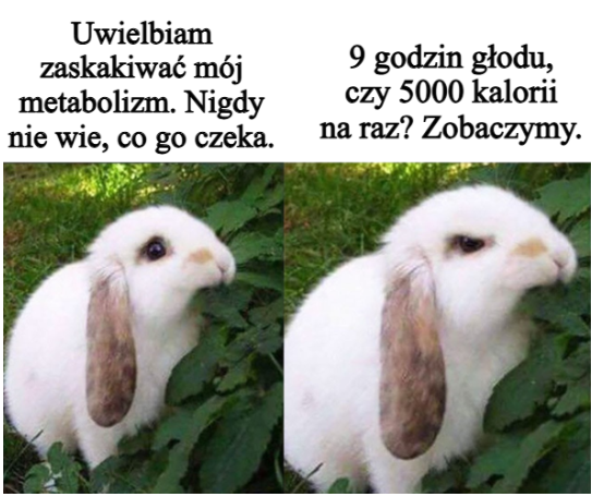donald_PL_'s tweet photo. Może sałatka, a może frytki z czekoladą, kto wie? https://t.co/jgEmGuXacL