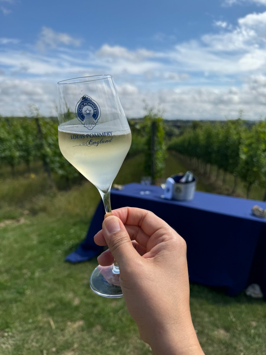 Our estate is more than just a vineyard it’s where chalk soils, cool climate, and centuries of winemaking knowledge shape a truly English sparkling wine. ✨#LouisPommeryEngland #EnglishSparklingWine