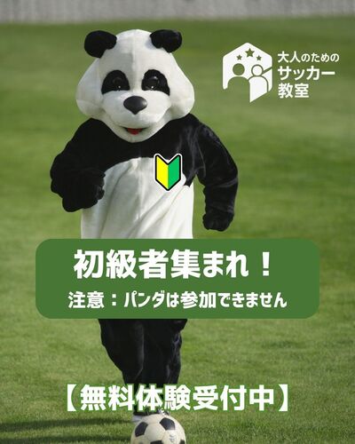 🎯サッカーを“ちゃんと”学ぶチャンス！
ドリブルの基本をゼロから学べる内容です⚽️

未経験・初心者も安心してご参加ください😊