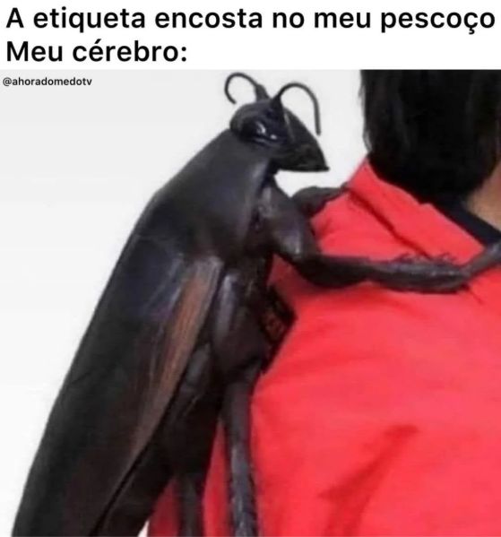 memes extremamente horríveis (ou bons) (@memes_horriveis) on Twitter photo 