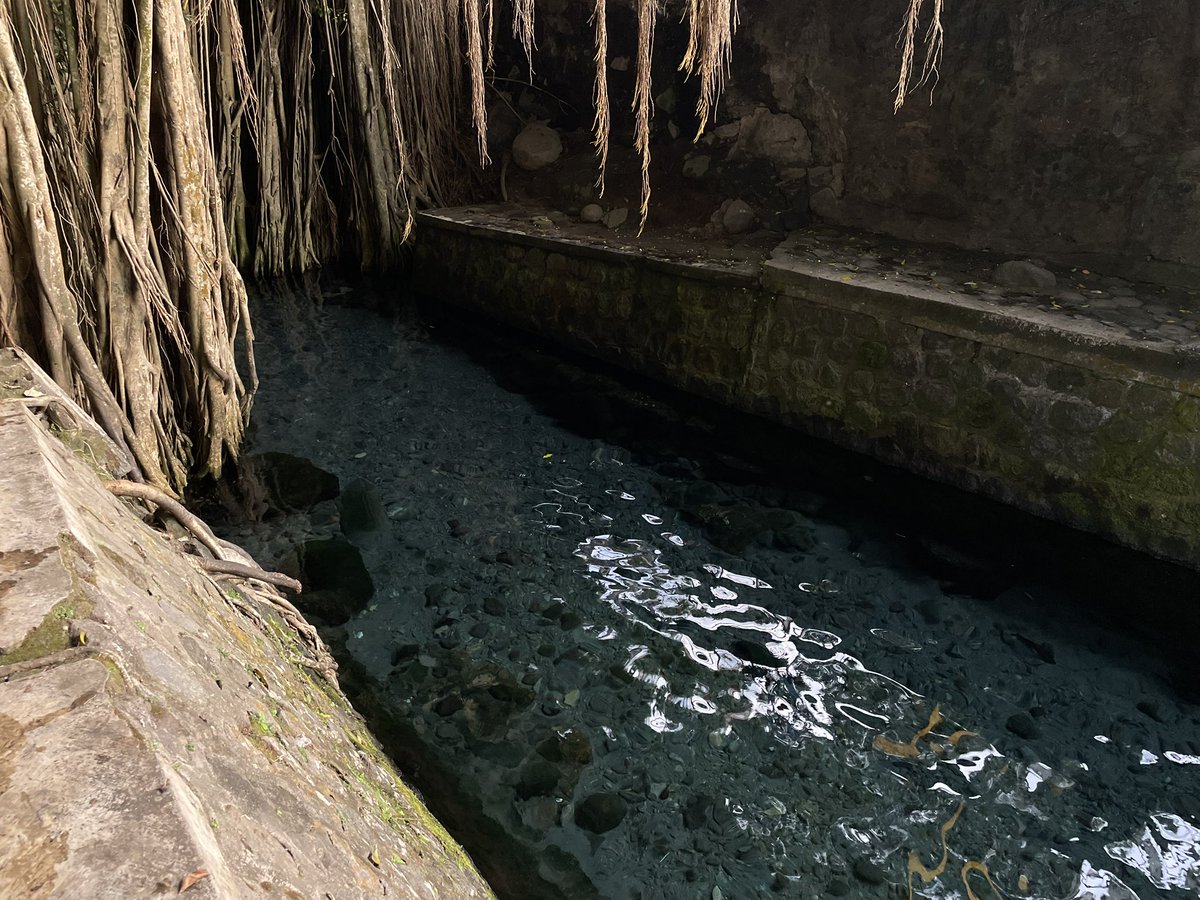 𝕽𝖎𝕽𝖎 tweet media