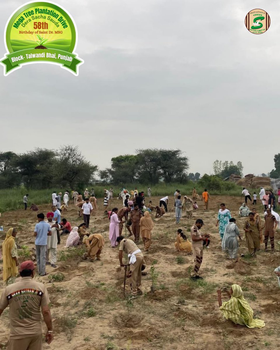 GreenSwelfares's tweet photo. A healthy environment is the foundation of a healthy future.
Guided by the sacred vision of Saint Dr. MSG, millions across regions planted trees — a heartfelt gift to the Earth and a step towards reversing climate change.
Grand. Green. Glorious—The MSG Bhandara celebrations.

 #GoGreen #MSGBhandara #MegaTreePlantationDrive #TalwandiBhai #RamRahim