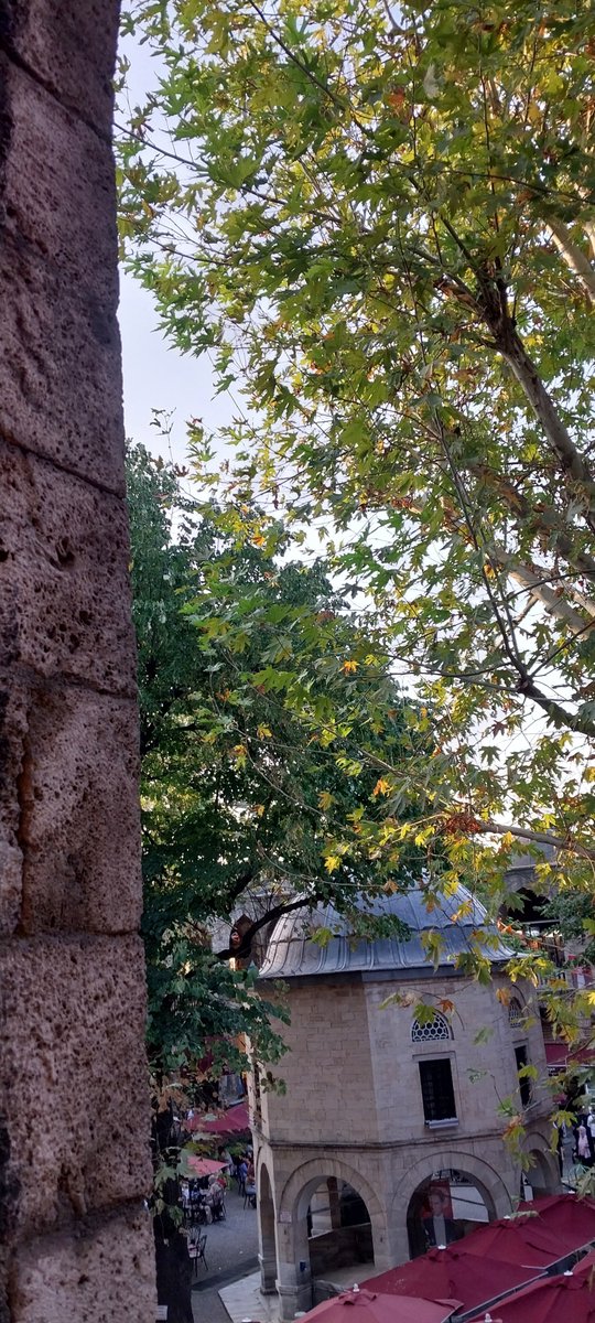 eeliffoz's tweet photo. Bursa'nın kalbi 💚
#kozahan https://t.co/7aNwrDmeQX