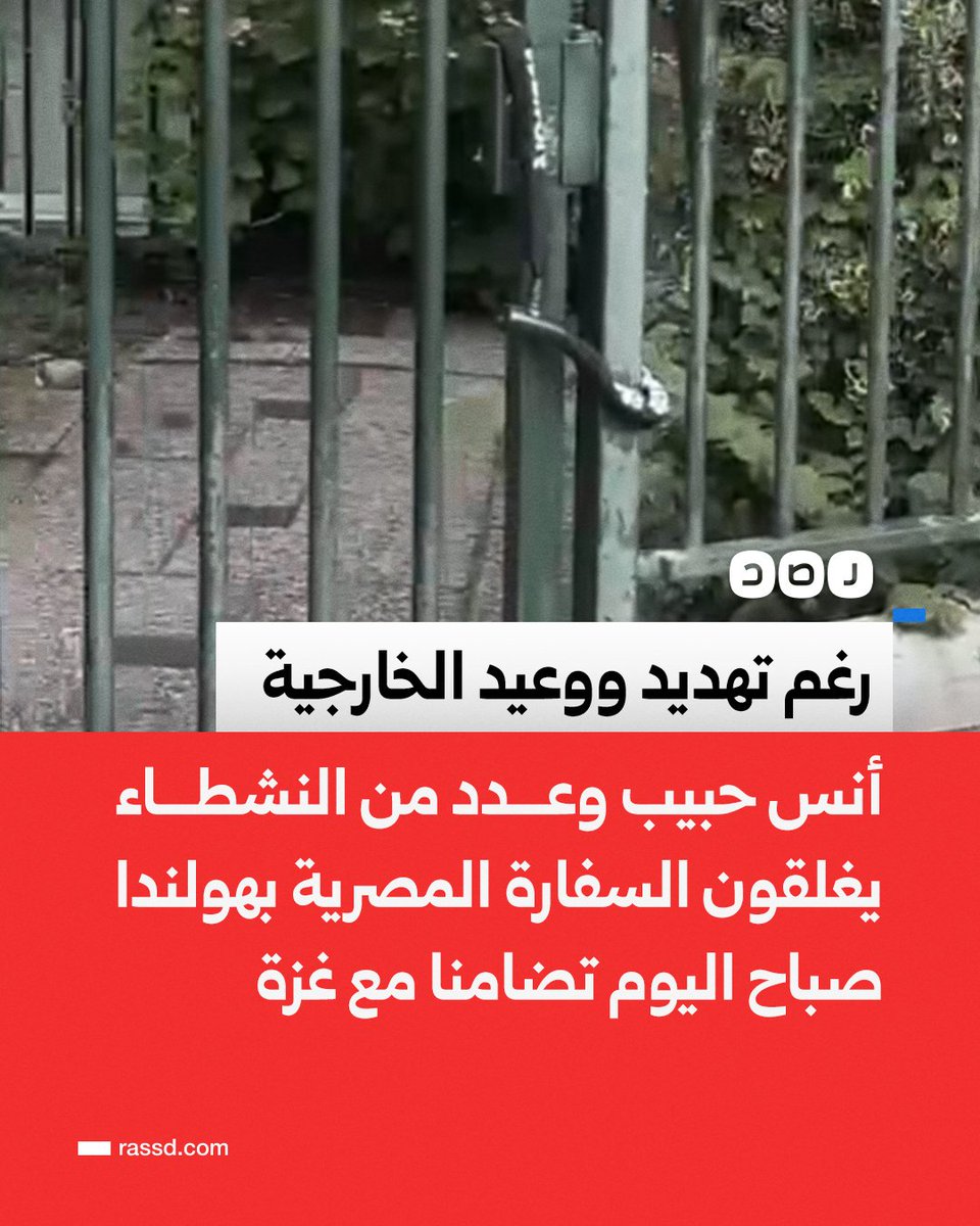 RassdNewsN's tweet photo. تغطية صحفية | رغم تهديد ووعيد وزير الخارجية..
الناشط أنس حبيب وعدد من النشطاء يغلقون السفارة المصرية في هولندا صباح اليوم، احتجاجا على غلق معبر رفح وتضامنا مع غزة https://t.co/xwE7gKoe2o
