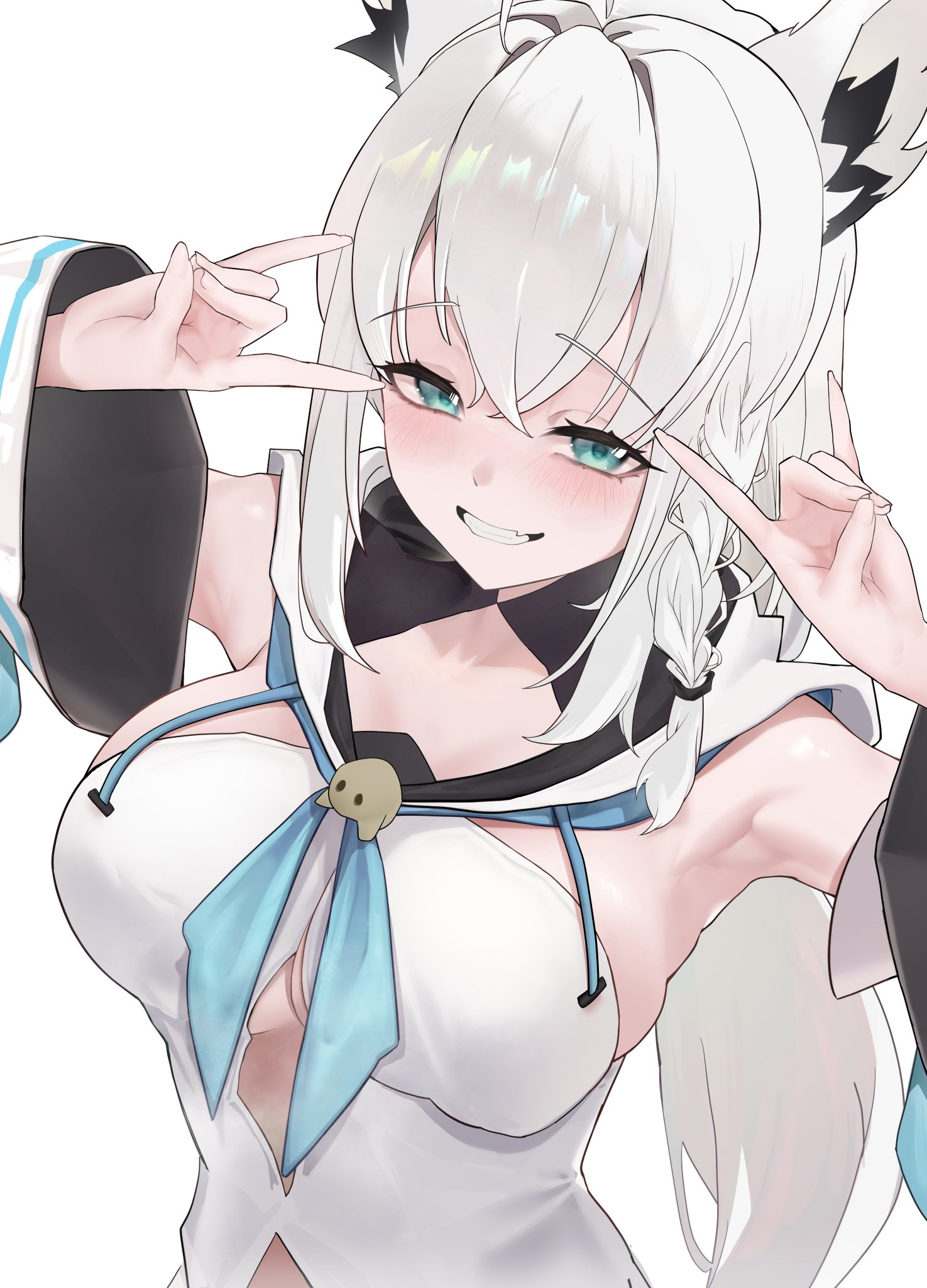 投稿の画像