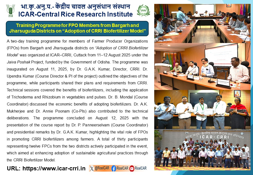 ICAR-Central Rice Research Institute, Cuttack (@riceicar) on Twitter photo Training Programme for FPO Members from Bargarh and Jharsuguda Districts on “Adoption of CRRI Biofertilizer Model” organized during 11-12 August, 2025. <a href="/RiceIcar/">ICAR-Central Rice Research Institute</a> <a href="/icarindia/">Indian Council of Agricultural Research.</a> <a href="/AgriGoI/">Agriculture INDIA</a> <a href="/mygovindia/">MyGovIndia</a> <a href="/DDKisanChannel/">Doordarshan Kisan - दूरदर्शन किसान</a> Training Programme for FPO Members from Bargarh and Jharsuguda Districts on “Adoption of CRRI Biofertilizer Model” organized during 11-12 August, 2025. <a href="/RiceIcar/">ICAR-Central Rice Research Institute</a> <a href="/icarindia/">Indian Council of Agricultural Research.</a> <a href="/AgriGoI/">Agriculture INDIA</a> <a href="/mygovindia/">MyGovIndia</a> <a href="/DDKisanChannel/">Doordarshan Kisan - दूरदर्शन किसान</a>