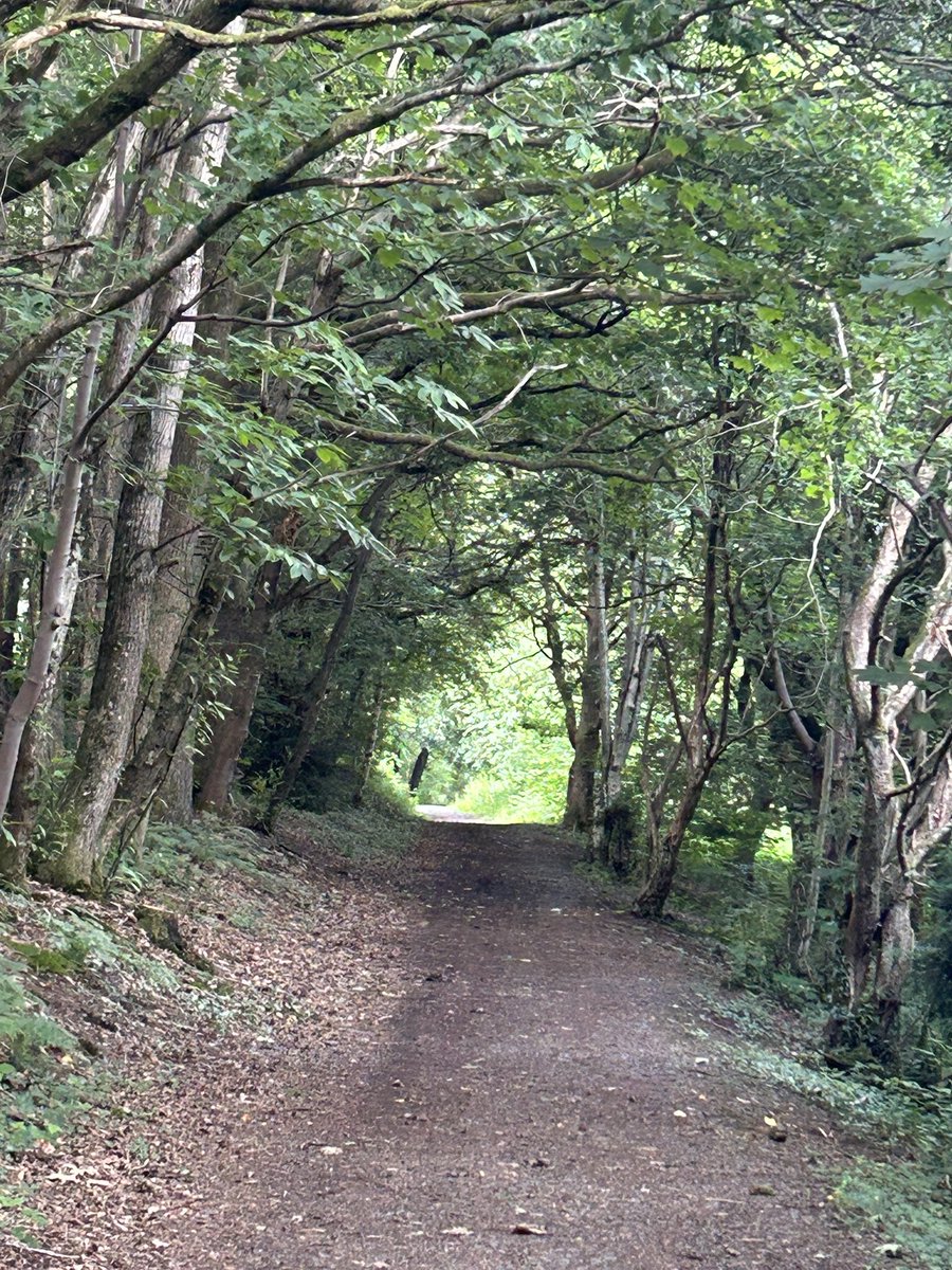 ian baker tweet media