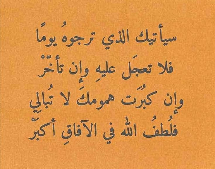 بيت شعر عربي كل يوم (@arabicpoet0) on Twitter photo 